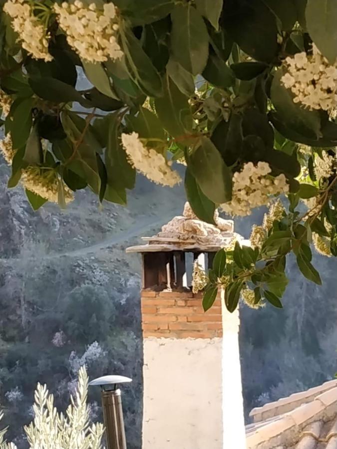 Hostal Cortijo La Solana Güéjar Sierra Exterior foto